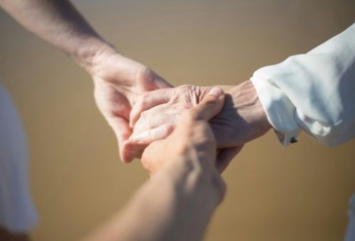 pexels kampus 8829175 pexels kampus 8829175