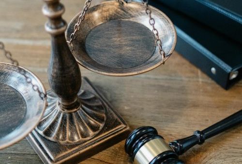 pexels sora shimazaki 5668882 pexels sora shimazaki 5668882