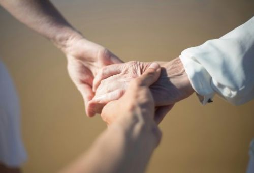 pexels kampus 8829175 pexels kampus 8829175